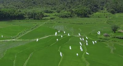 “绿水青山就是金山银山。”